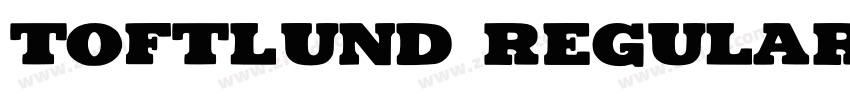 TOFTLUND Regular字体转换